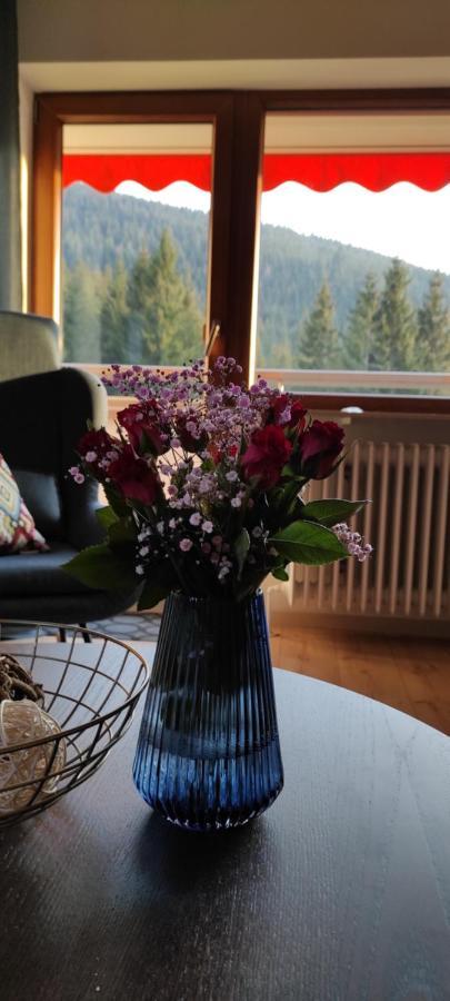 Ferienwohnung Tannenballett Im Schwarzwald Байерсброн Екстериор снимка