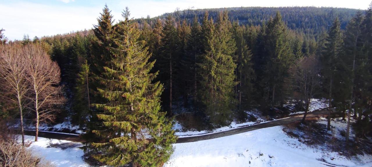 Ferienwohnung Tannenballett Im Schwarzwald Байерсброн Екстериор снимка