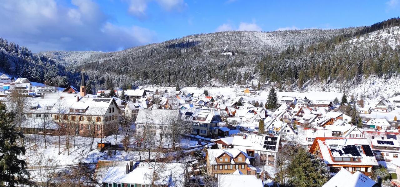 Ferienwohnung Tannenballett Im Schwarzwald Байерсброн Екстериор снимка