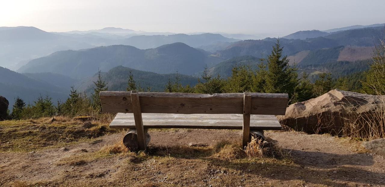Ferienwohnung Tannenballett Im Schwarzwald Байерсброн Екстериор снимка