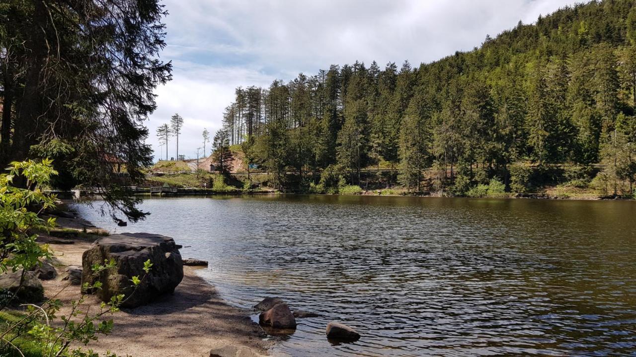 Ferienwohnung Tannenballett Im Schwarzwald Байерсброн Екстериор снимка