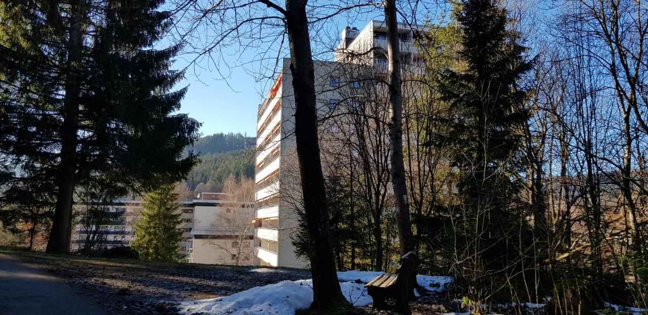 Ferienwohnung Tannenballett Im Schwarzwald Байерсброн Екстериор снимка