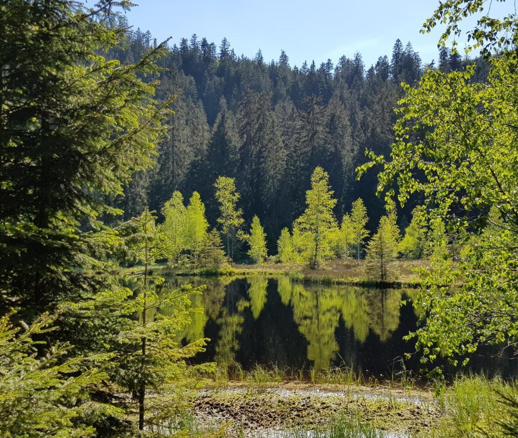 Ferienwohnung Tannenballett Im Schwarzwald Байерсброн Екстериор снимка