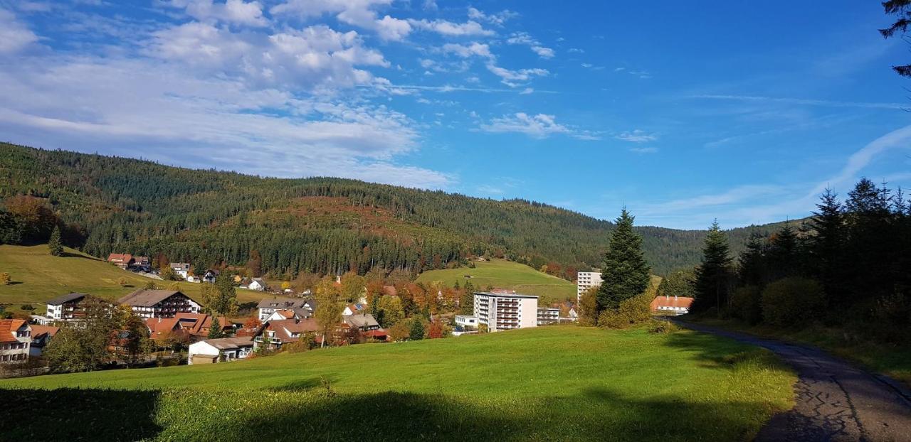 Ferienwohnung Tannenballett Im Schwarzwald Байерсброн Екстериор снимка