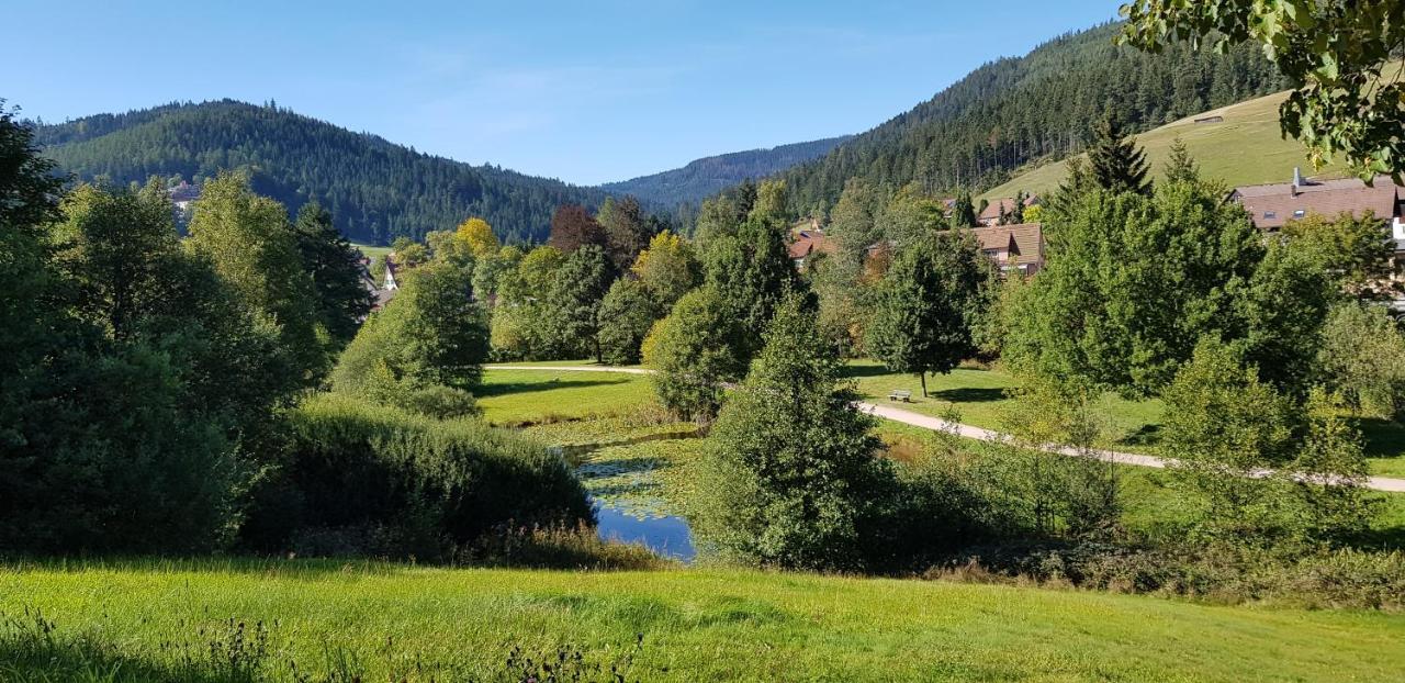 Ferienwohnung Tannenballett Im Schwarzwald Байерсброн Екстериор снимка
