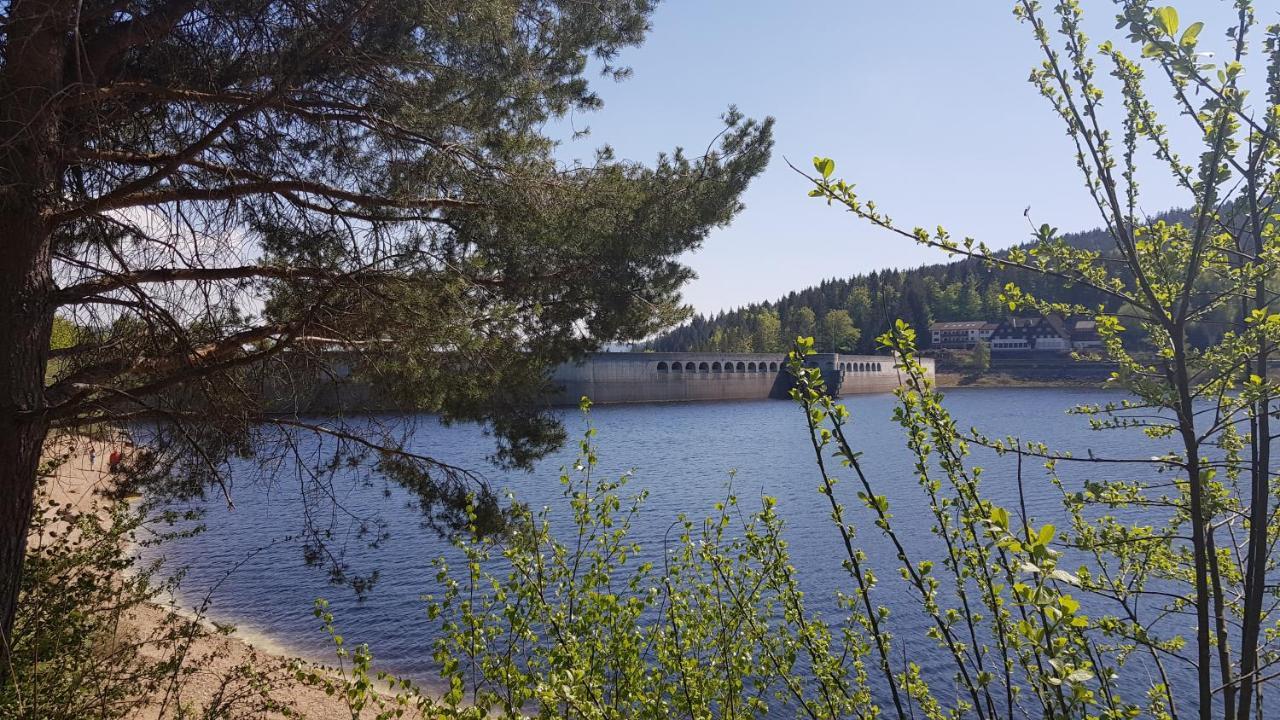 Ferienwohnung Tannenballett Im Schwarzwald Байерсброн Екстериор снимка