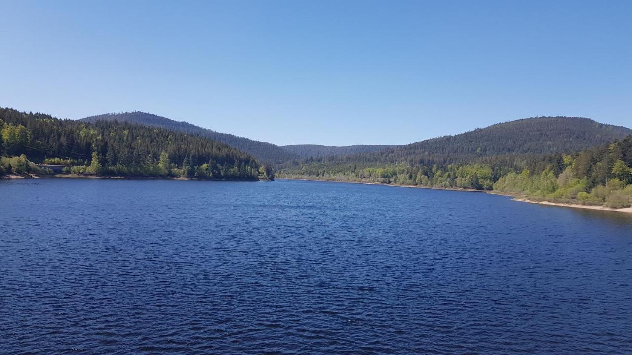 Ferienwohnung Tannenballett Im Schwarzwald Байерсброн Екстериор снимка