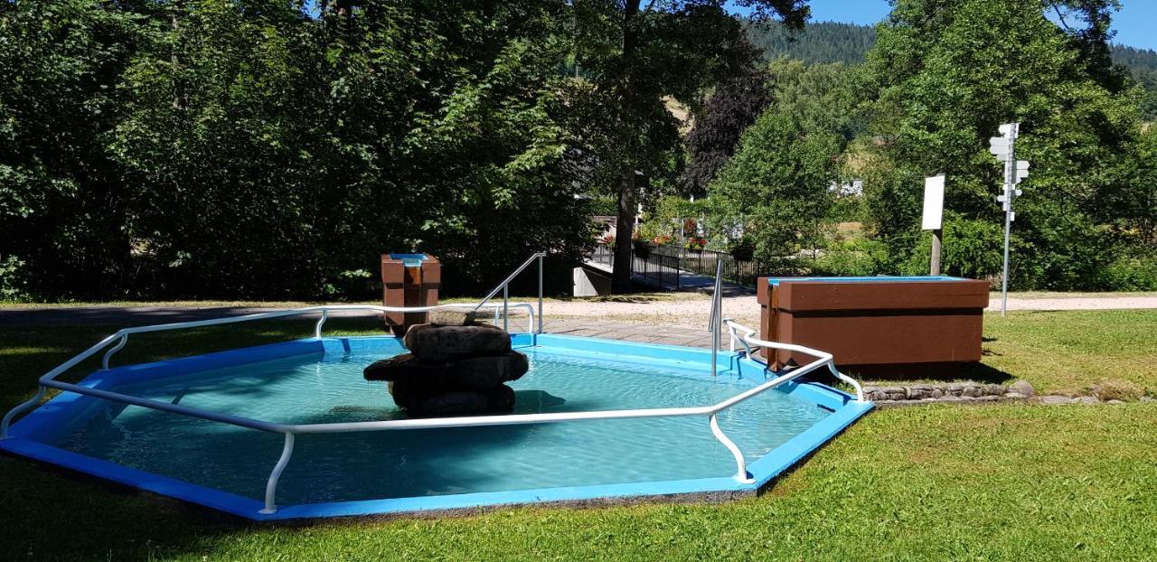 Ferienwohnung Tannenballett Im Schwarzwald Байерсброн Екстериор снимка