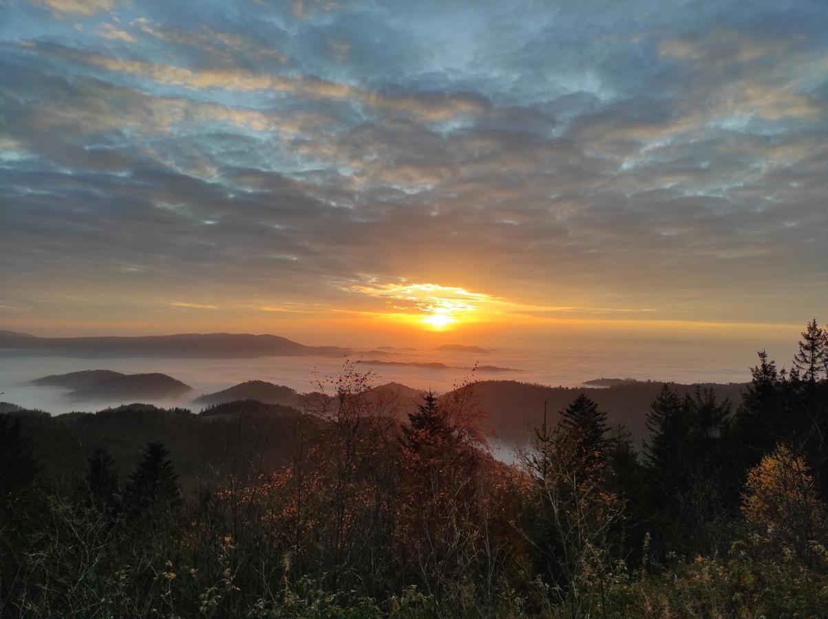 Ferienwohnung Tannenballett Im Schwarzwald Байерсброн Екстериор снимка