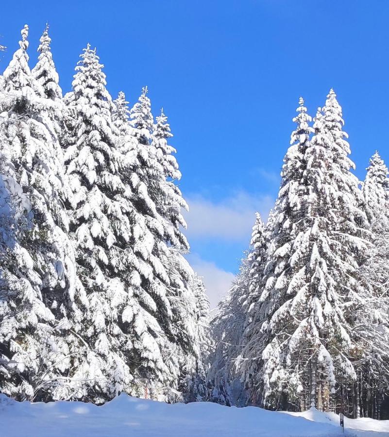 Ferienwohnung Tannenballett Im Schwarzwald Байерсброн Екстериор снимка