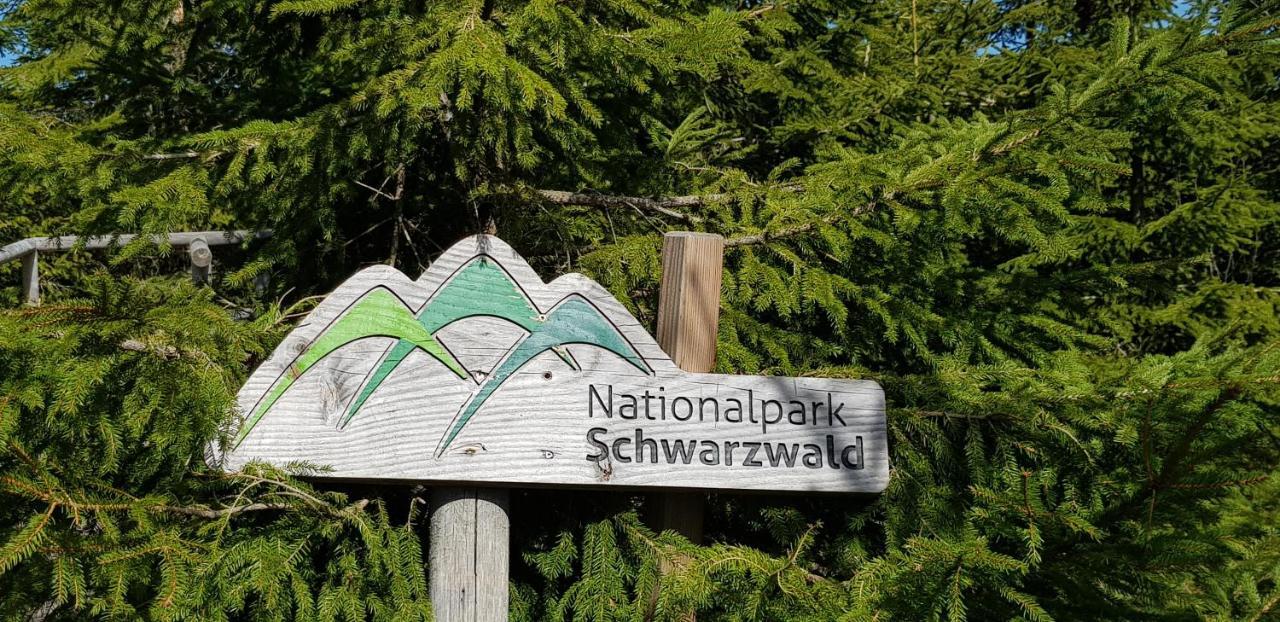 Ferienwohnung Tannenballett Im Schwarzwald Байерсброн Екстериор снимка