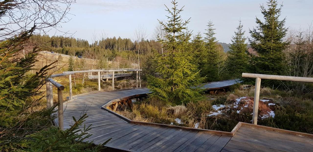 Ferienwohnung Tannenballett Im Schwarzwald Байерсброн Екстериор снимка
