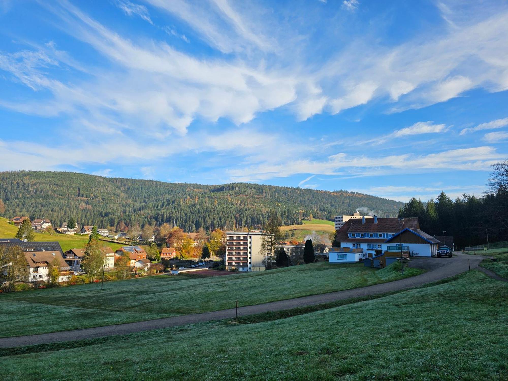 Ferienwohnung Tannenballett Im Schwarzwald Байерсброн Екстериор снимка