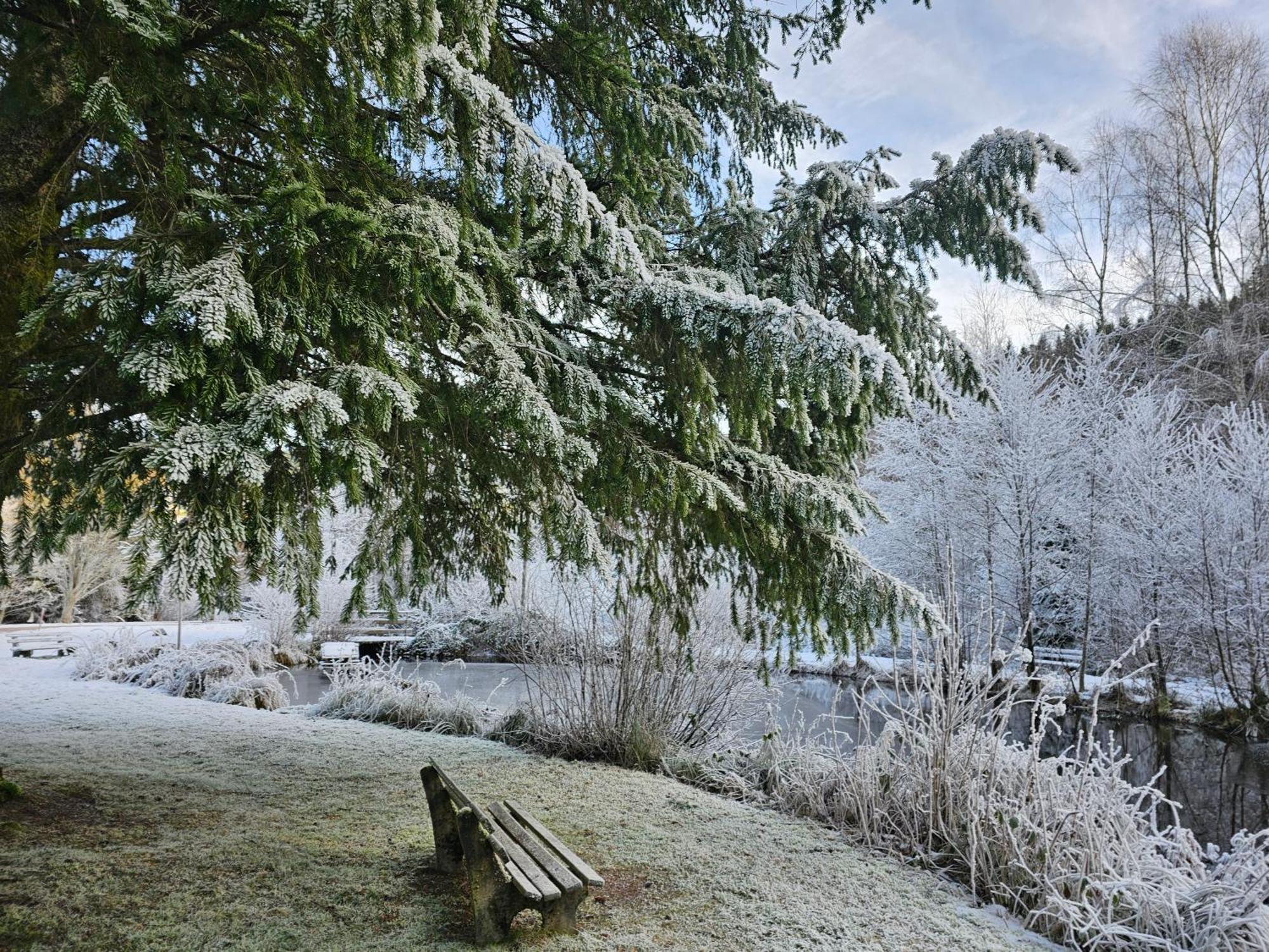 Ferienwohnung Tannenballett Im Schwarzwald Байерсброн Екстериор снимка